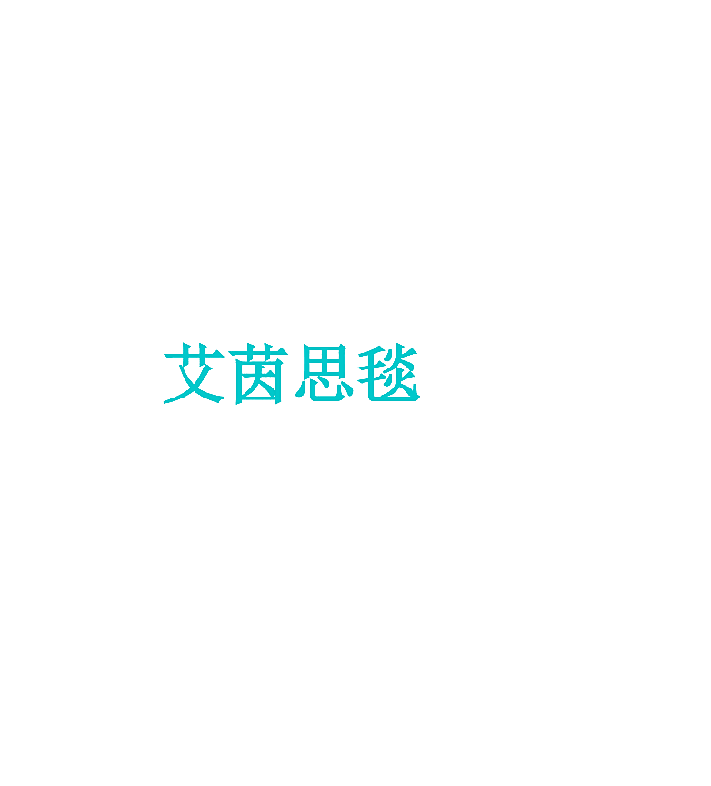 艾茵思毯
