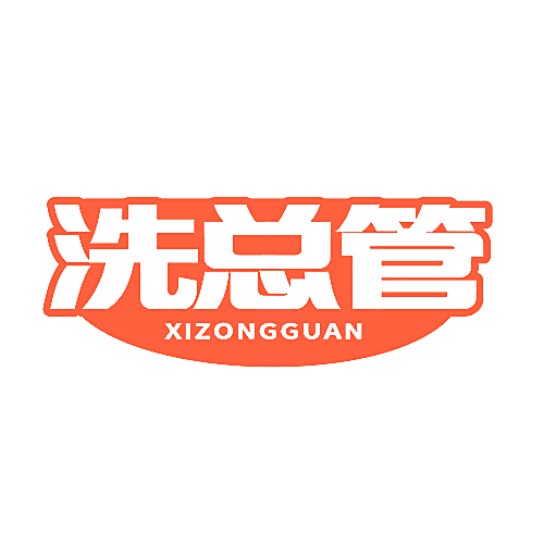 洗总管