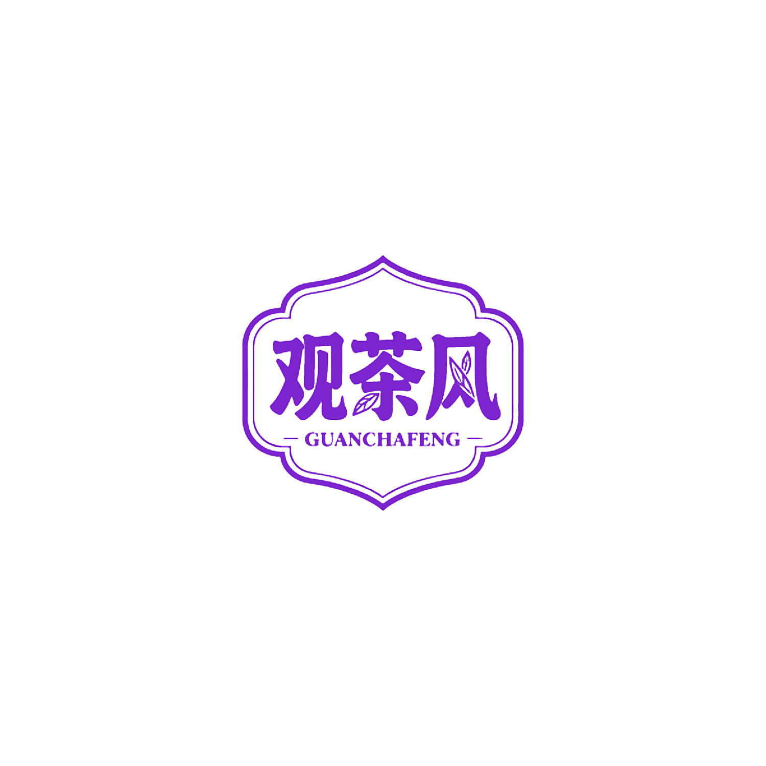 观茶风