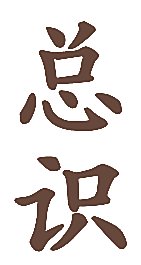 总识