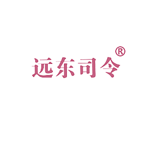 远东司令