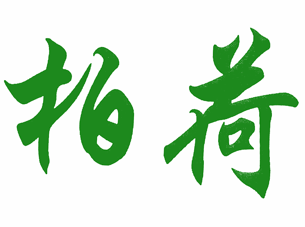 柏荷