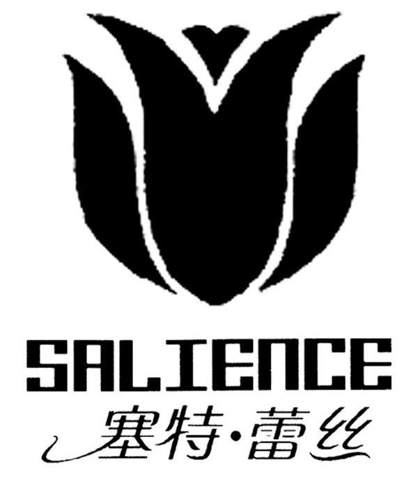 塞特·蕾丝 salience